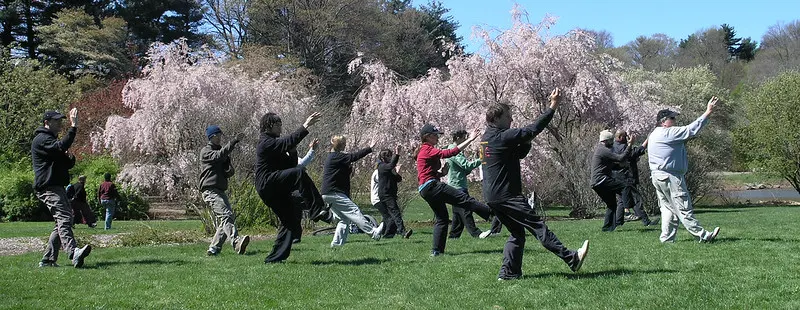 several adults performing tai chi in a park